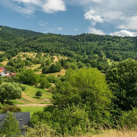 Merkurblick Διαμέρισμα Loffenau